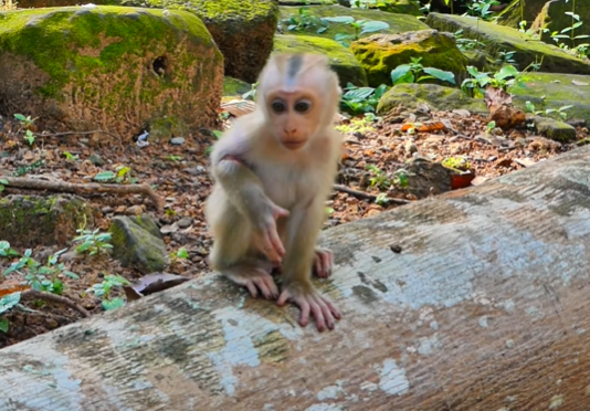 Baby Luna cuddling with family after a morning of playful adventure.
