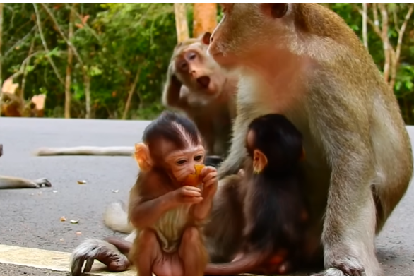 A mother cradling her crying baby under moonlit Angkor Wat trees, with ancient temple ruins in the background.