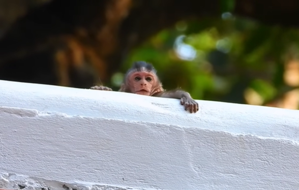 A weary mother, tears in her eyes, holding her small child on the rooftop of an ancient temple at Angkor Wat, surrounded by forest and ruins.