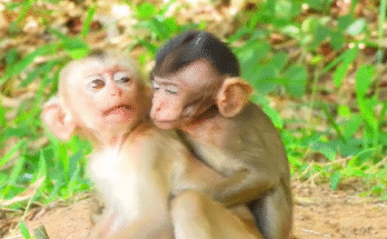 A tearful man seated on a moss‑covered ancient stone slab in a jungle near Angkor Wat, hands trembling as he grips a small wooden pendant — sunlight filtering through dense rainforest canopy above.