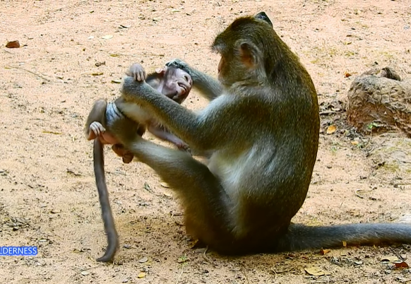 Anissa sitting under the ancient Angkor forest tree, tears in her eyes, with sunlight breaking through the branches.