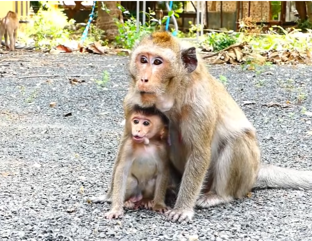 Little Mila sitting alone on the forest floor, surrounded by towering trees, clutching a blanket and staring into the distance with fear and sorrow.