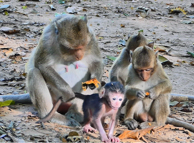 Newborn baby being cradled by mother among ancient temple stones in forest at sunrise