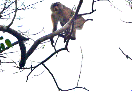 Small child timidly reaching to hold a parent’s hand under soft lantern light in a forest.
