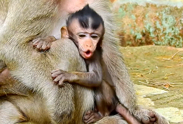 The Day in the Angkor Wat Forest That Changed Everything — A Friend’s Story of Loss, Love & Forgiveness