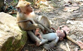 Sometimes the smallest moments in nature teach the biggest truths.