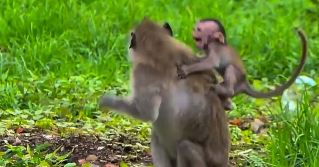She Carried Him for Months — But Today, She Just Needed a Moment Alone